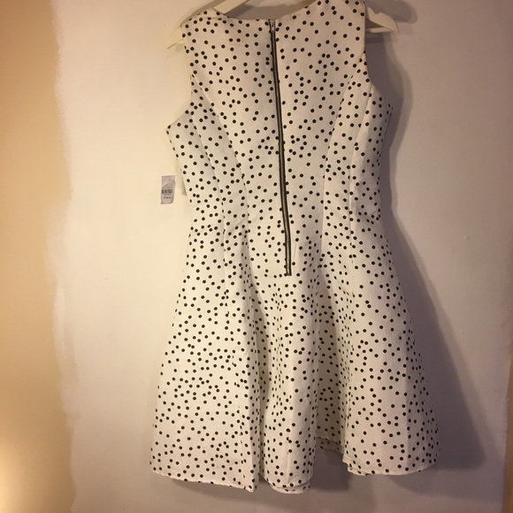 White and black, sleeveless, fit and flare dress - Picture 5 of 7